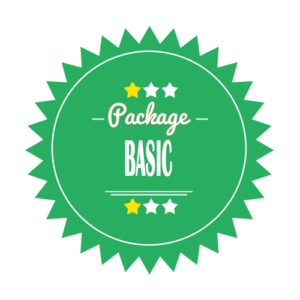 Basic SEO Package