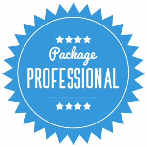Professional SEO Package