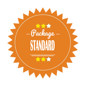 Standard SEO Package